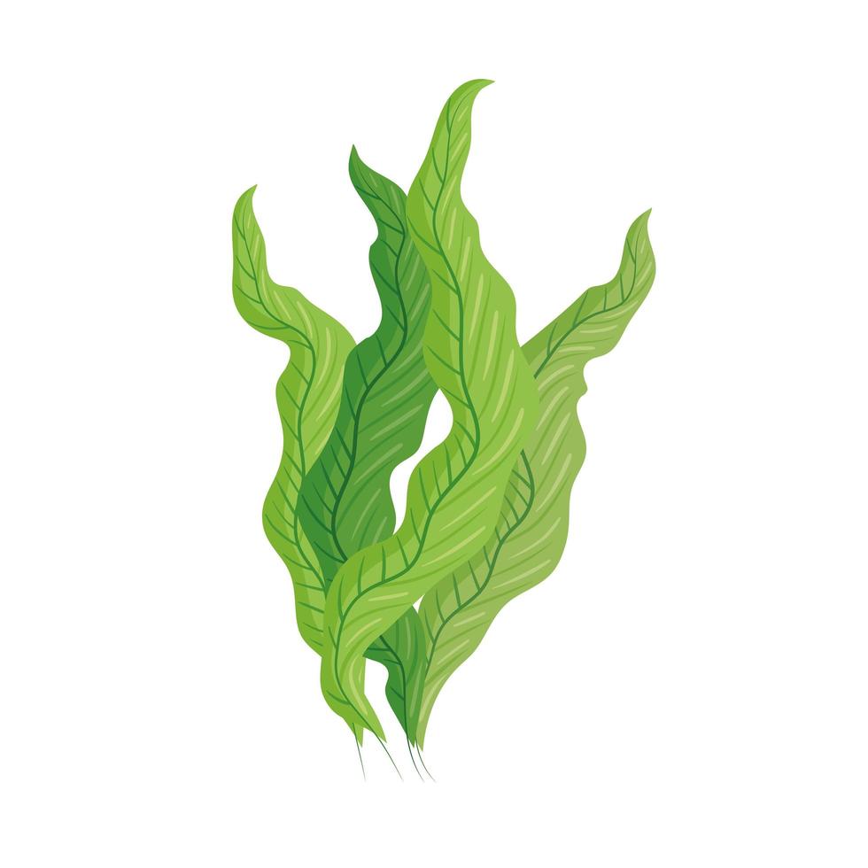 plantas de algas verdes vector