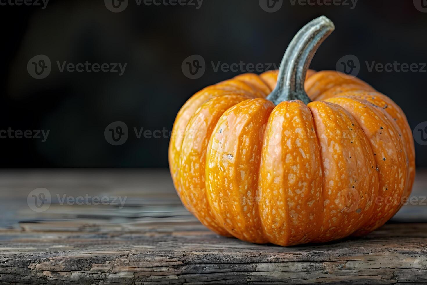 Rustic Autumn Pumpkin Fall Harvest Holiday Decor Perfect for Print, Card, Poster Design photo