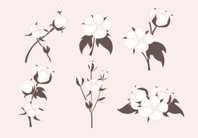 Cotton Plant Vectors