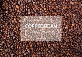 Coffee Bean Background Texture vector