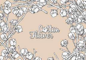 Cotton Flower Hand Drawing Free Vector