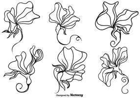 Vector Sweet Peas Flower Illustration
