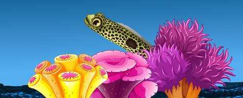 Escena submarina con peces y arrecifes de coral. vector