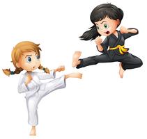 Karate vector