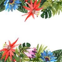 Tropical Leaves Illustration vector