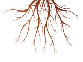 Tree Root Isolated Illustration vector