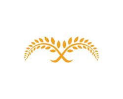  agriculture rice food meal logo and symbols template icons vector