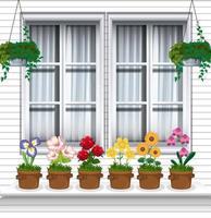 Potted flowers by the window vector