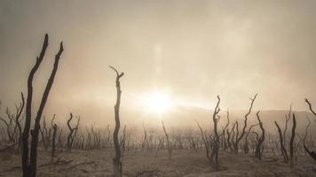 Desert Dust 4K Living Background video