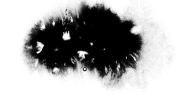 grande gota de tinta preta video