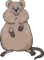 cartoon quokka comic animal character vector