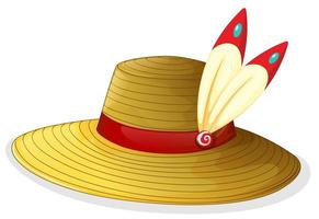 A brown hat photo