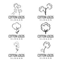 Cotton Logo Template vector symbol nature