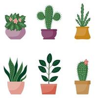 Potted plants collection, cartoon design. Succulents and home plants. Set of house indoor plant vector in flat style.