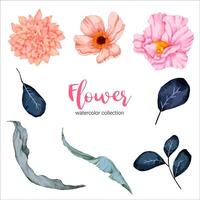 Watercolor flower set vector