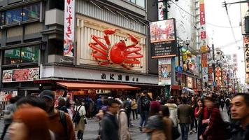 Time lapse namba market street dans la ville d'Osaka, Japon video