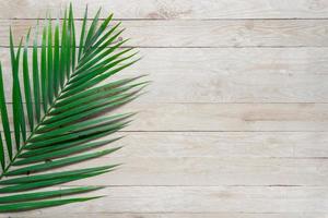 Top view palm leaf on wooden table with copy space photo