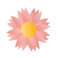 sunflower with a ligth pink color vector