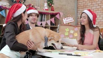 Three workers team with red hats and dog, friends, and colleagues talking and relaxing meeting in office before company holidays, festive decorate for celebrating Christmas party and New Year's Day. video