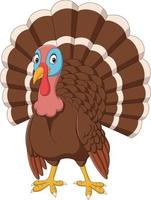 Cartoon turkey on white background vector
