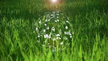The earth on green grass background with environment ecology sign hologram on natural video