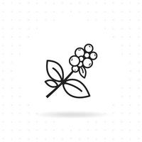 Coffee plant icon vector