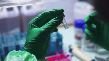 Wissenschaftler aus der Nähe, der RNA-Extrakt in Mikrozentrifugenröhrchen für den PCR-Test betrachtet. video