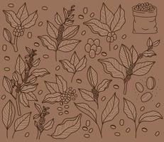 coffee beans card vector