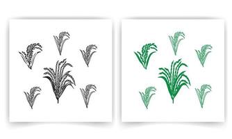 paddy line vector illustration, Hand drawn rice. Organic cereal in bag and rice porridge in bowl, sketch doodle set of wild jasmine steamed and basmati rice