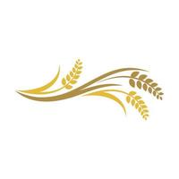 Wheat rice agriculture logo, Wheat grain, Wheat Nutrition, Wheat rice agriculture logo Inspiration vector