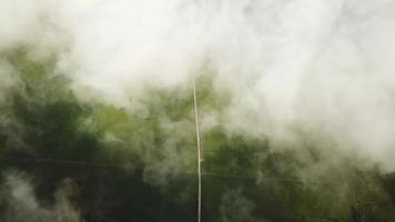 Aerial view beautiful landscape path in green paddy field over the cloud video