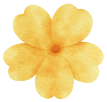 fiore giallo dipinto ad acquerello per elemento decorativo png
