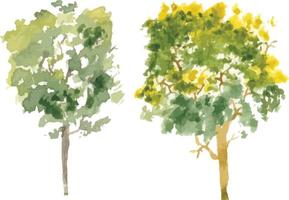 Vector hand drawn tree watercolor illustration on white background.