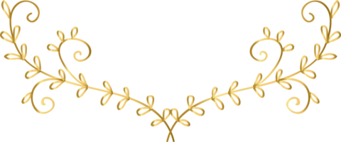 graphique floral dessiné à la main png