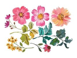 watercolor flower elements clipart vector