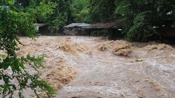 waterval cataract in Woud bergen. vuil streams zijn vloeiende naar beneden de berg hellingen van de berg Woud na zwaar regent in Thailand. rivier- overstroming, selectief focus. video