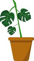Plant in pot, illustration, vector on white background.