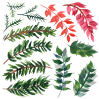 pacote floral de natal com ramos diferentes png