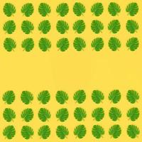 Tropical palm monstera leaves lies on a pastel colored paper. Nature summer concept pattern. Flat lay composition. Top view photo