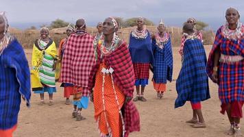 images en gros plan de femmes masain portant des vêtements traditionnels et dansant. réserve nationale d'amboseli, kenya, afrique.août 27,2022 video