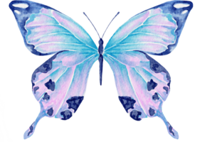 aquarela borboleta azul png
