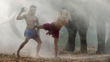 dois jovens do sexo masculino vestindo shorts da tradição tailandesa, cabeça e mãos enroladas em corda de cânhamo torcida e mostrando uma bela arte de luta de muay thai, elefantes borrados e névoa branca espalhada ao fundo video