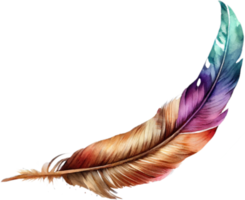 aquarelle de plumes colorées png