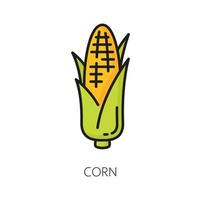 Corncob corn cob icon Argentina color line icon vector