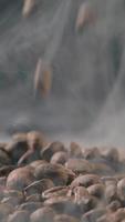vertikal långsam rörelse av rostad kaffe bönor faller. organisk kaffe frön. video