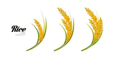 Premium Rice great quality design concept  vector. vector