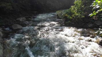 mouche plus de l'eau couler à Roche dans lumière fuite video