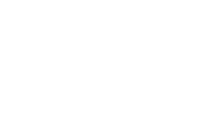 Grunge paintbrush. Ink stroke brush png