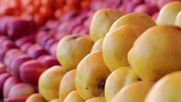 Vegetable and fruit in greengrocer video