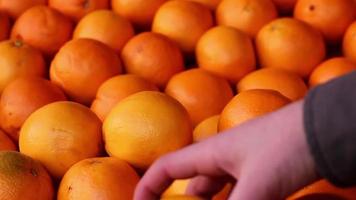 comprando fruta a partir de a mercearia loja, colheita a laranja laranjas em a mercearia estante e colocando eles dentro a bolsa, seletivo foco video